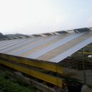 문경목장 이미지