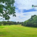 (합자)명성관광여행사 | 태국 골프장 부킹 요즘 갈만한 카오야이 골프장 키리마야cc 예약 후기