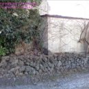 표선면사무소 이미지