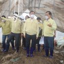 김정숙농장 이미지