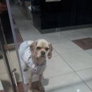 라파엘동물병원 이미지