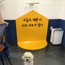 올리스24(세종점) 이미지