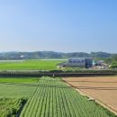 로카모텔 이미지