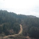 새천년공원길 이미지