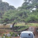 은진송씨 열녀문 이미지