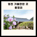 영천 가볼만한곳 경북 영천 가볼만한곳 영천 가볼만한곳 베스트10 이미지