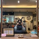 탄현 헤어레스트지오 매직펌 미용실 추천