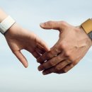 밴드홀릭 이미지