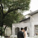 형제축사 | 플러스준스튜디오 웨딩 후기 본식스냅 아르하드레스 강산픽