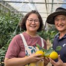 김형남농장 이미지