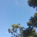 (주)와이즈웍스 이미지