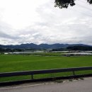 새호남약국 이미지