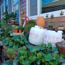 도가한옥민박 이미지