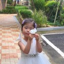 초원사랑어린이집 이미지