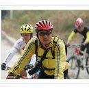 장가이버 이미지