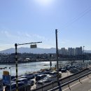 남대천강릉교밑 이미지