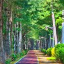 산들자동차정비 이미지