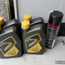 골드카마스타 이미지