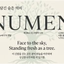세라누리