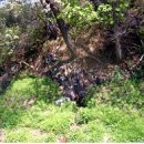 사천2리 이미지