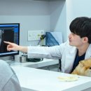 정담 동물메디컬센터 이미지