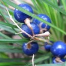 사랑채움한의원 이미지