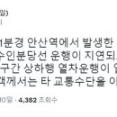 안산역 선로서 쓰러진 채 발견된 남성…4호선 운행 일시중지 이미지