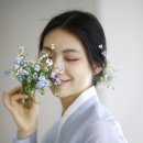 비단궁 이미지