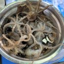 바다향그대로 이미지