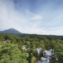 게스트 하우스 소나무 이미지