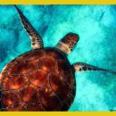 재활나라 이미지