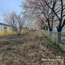 비케이메디 이미지