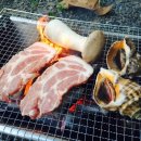 밀양 캠핑장, &#34;산여울 오토 캠핑장&#34; 후기