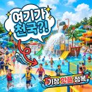샤크빌리지7 | 어메이징빌리지 부산 예약 가격 및 물놀이 시설 완벽 정리