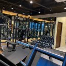 라이프핏 이미지