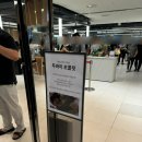 포레드썸머 이미지