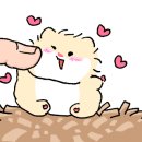 달빛 햄스터리 이미지