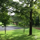 뉴코리아 컨트리클럽 이미지