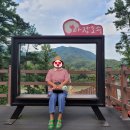 지에스25 마장중앙점 | 파주 마장호수 출렁다리 완벽 가이드 수도권 최고의 힐링 명소 체험기