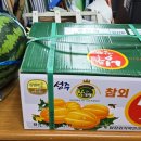 성남소방서장
