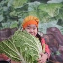 정다운반ㅡ🥬김장퍼포먼스🥬 이미지