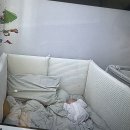 The한샘 | 한샘 샘키즈 하이가드 침대 코코파파 범퍼가드 후기