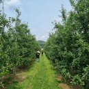 소농농장 이미지