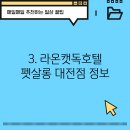 라온캣독 호텔 대전점 이미지
