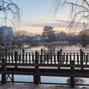 따오기품은 세진마을 이미지