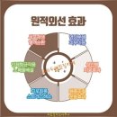 카페,두리 이미지