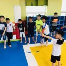 경희대 우리태권도 이미지