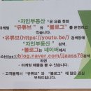 자인 행정사 네이버블로그