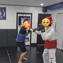 고려대단관태권도 이미지