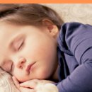 오렌지나이트 이미지